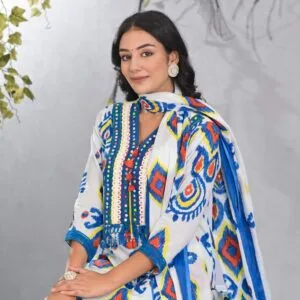 Ikkat Cotton Set with Handwork
