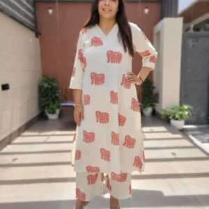 Elephant Print Women V-Neck Co-ord Sets