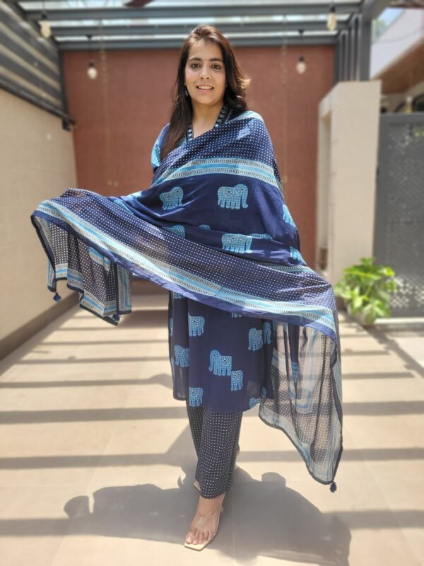 Stylish Cotton 3PC Set with Handwork