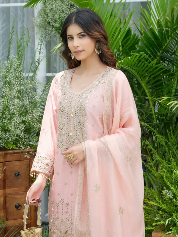 Partywear Suit Set with Divider Bottom