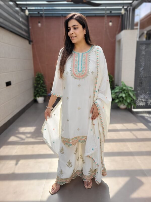 Heavy Zari Work on Kurta