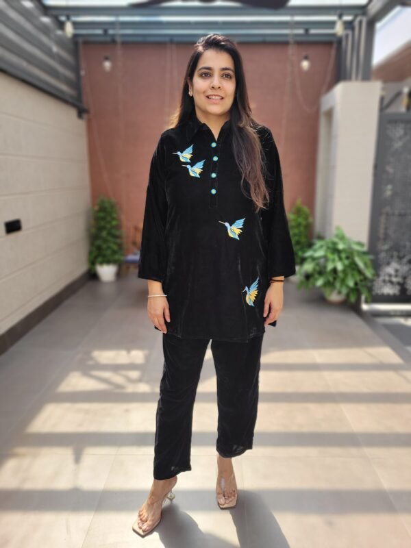 Bird Handwork Pattern Velvet Suit with 3 Color Set