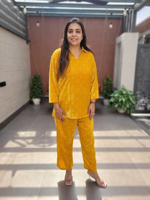 Winter Velvet Co-Ord Set with Palazzo