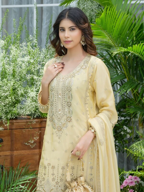 Pure Chinon Partywear Divider Suit Set