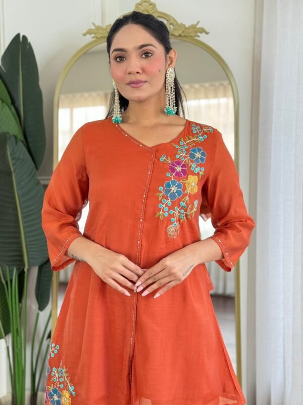 Multi Chanderi Embroidered